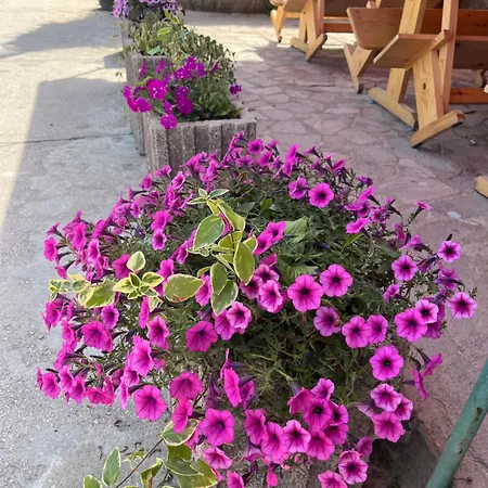 Globus בית הארחה